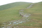 Polly dog First Munro Ben Whyvis