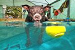 underwater