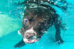 underwater