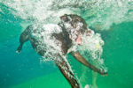 underwater