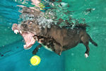 underwater