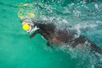 underwater