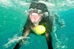 underwater