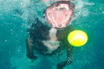 underwater