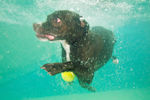 underwater