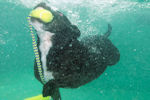 underwater